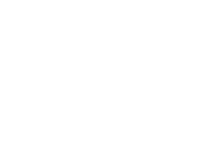 Logo Eli die Fee Seniorendienst
