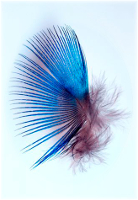 Logo Praxis Annette Becker